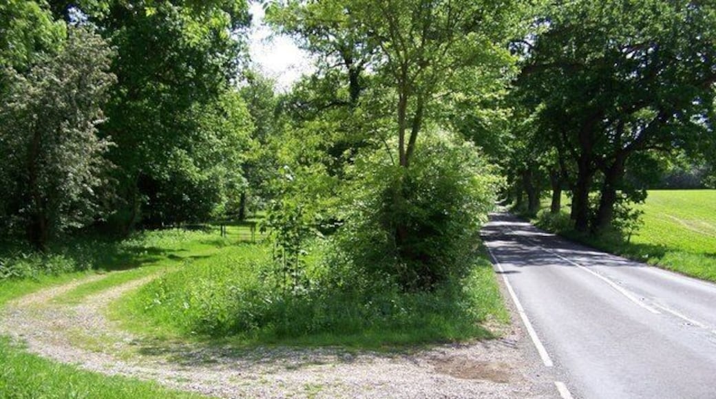 Braker Hill A view south down the main road with the gated track leaving off to the left towards Braker Hill.