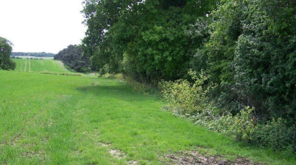View south from Church Hill No doubt an old track, this is called Church Hill on the 1:25,000 OS map. This view is looking south. There is no sign of a church anywhere, or indeed any roads. The track snakes round the perimeter of several fields.