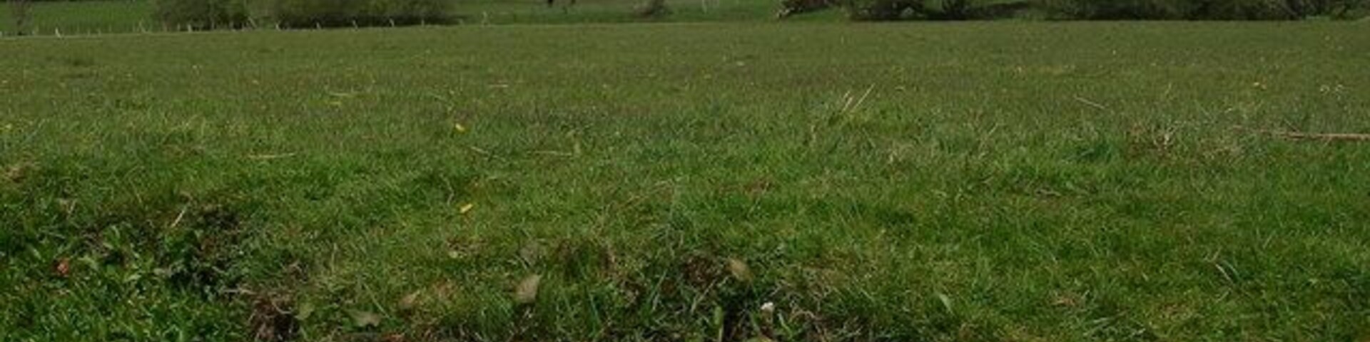 Um campo gramado com um pequeno riacho, árvores e casas ao longe sob um céu nublado.