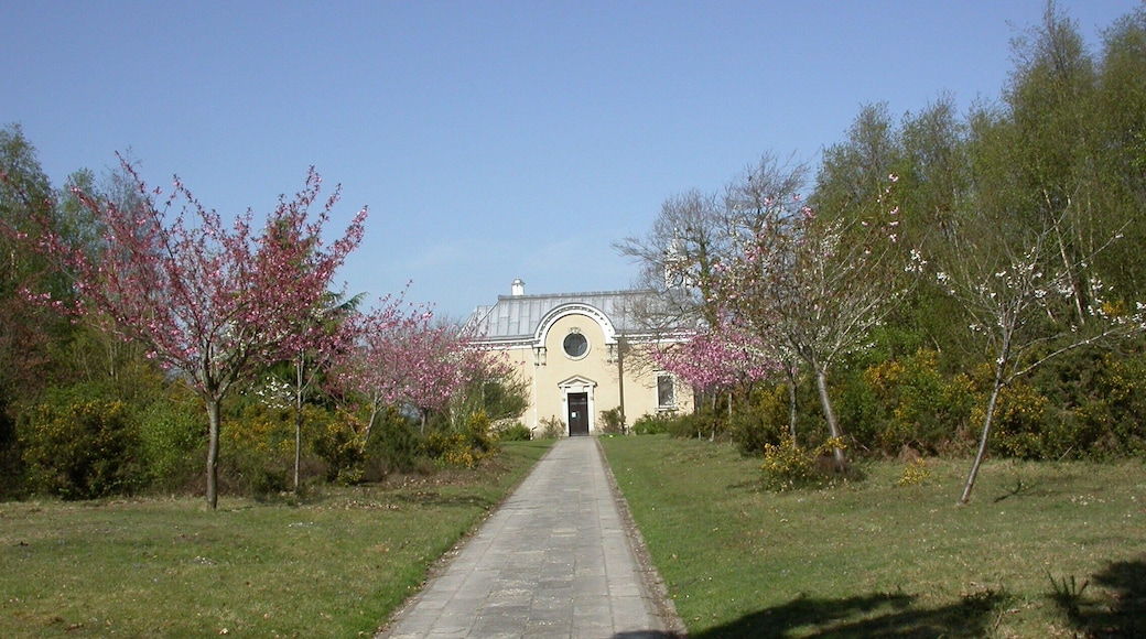 Church of All Saints