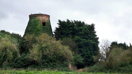 Tower Mill, Hagworthingham In 1816 the mill had common sails. In 1853 it had patent sails, which were retained until the early 1940's. The cap and two remaining sails were taken off and a strange roof put on in 1950. Since then the tower has fallen into ruinous state. All the machinery remained in 1974, although the floors were becoming dangerous. Some items were taken to Horncastle mill.