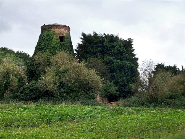 A tower surrounded by dense greenery and trees.