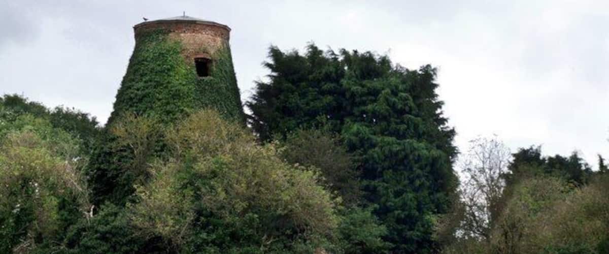 A tower surrounded by dense greenery and trees.