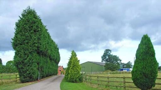 Leyhill Farm. Between Sudbury and Doveridge
