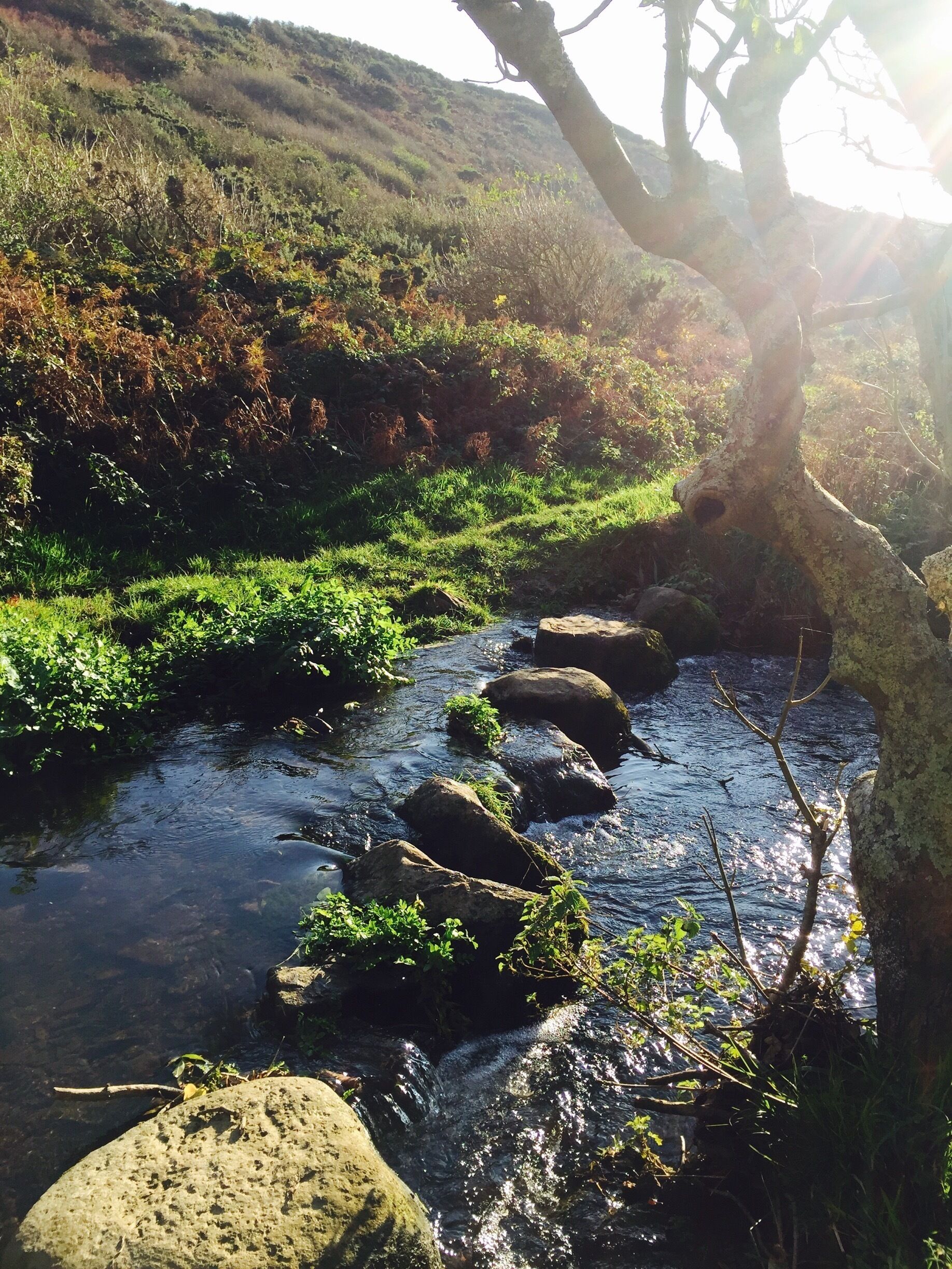 Stepping Stones #Solva
