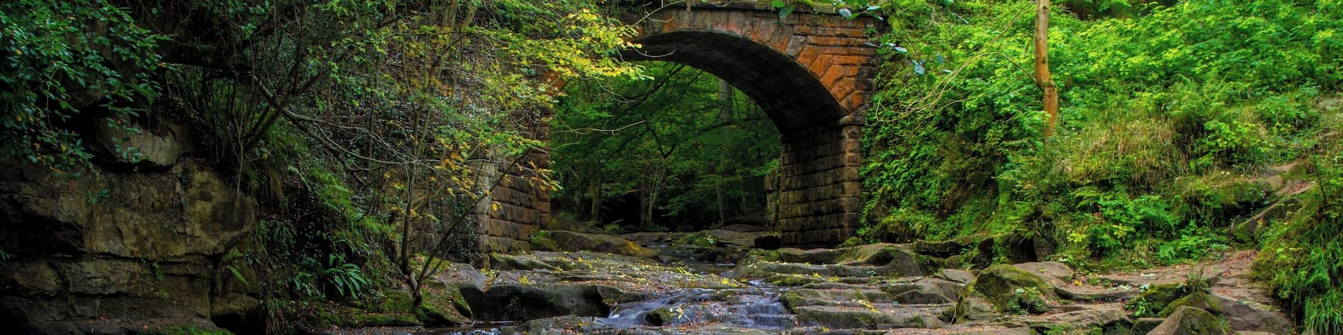 Falling Foss on the East Coast of Yorkshire, near Whitby.