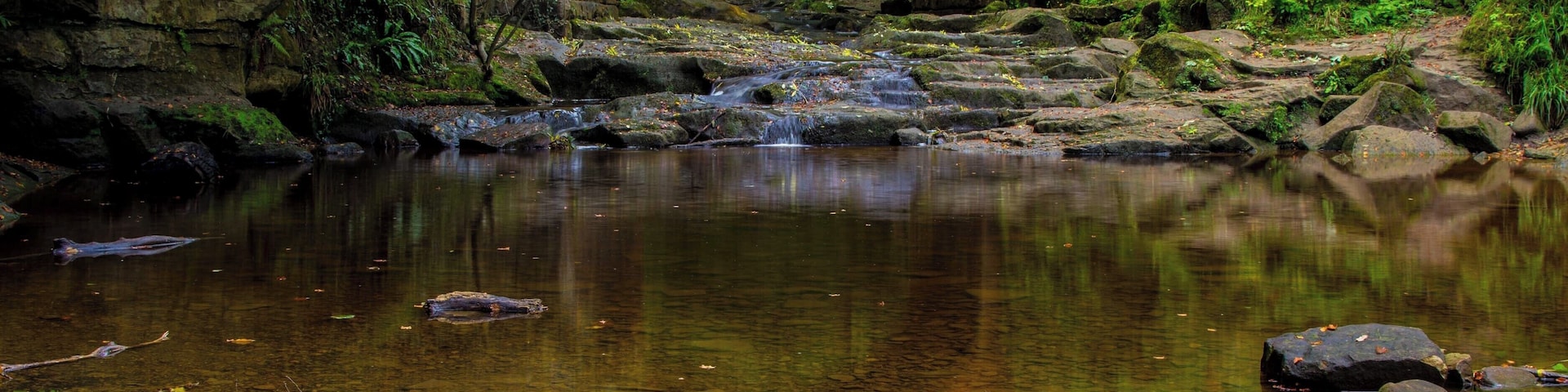 Falling Foss on the East Coast of Yorkshire, near Whitby.