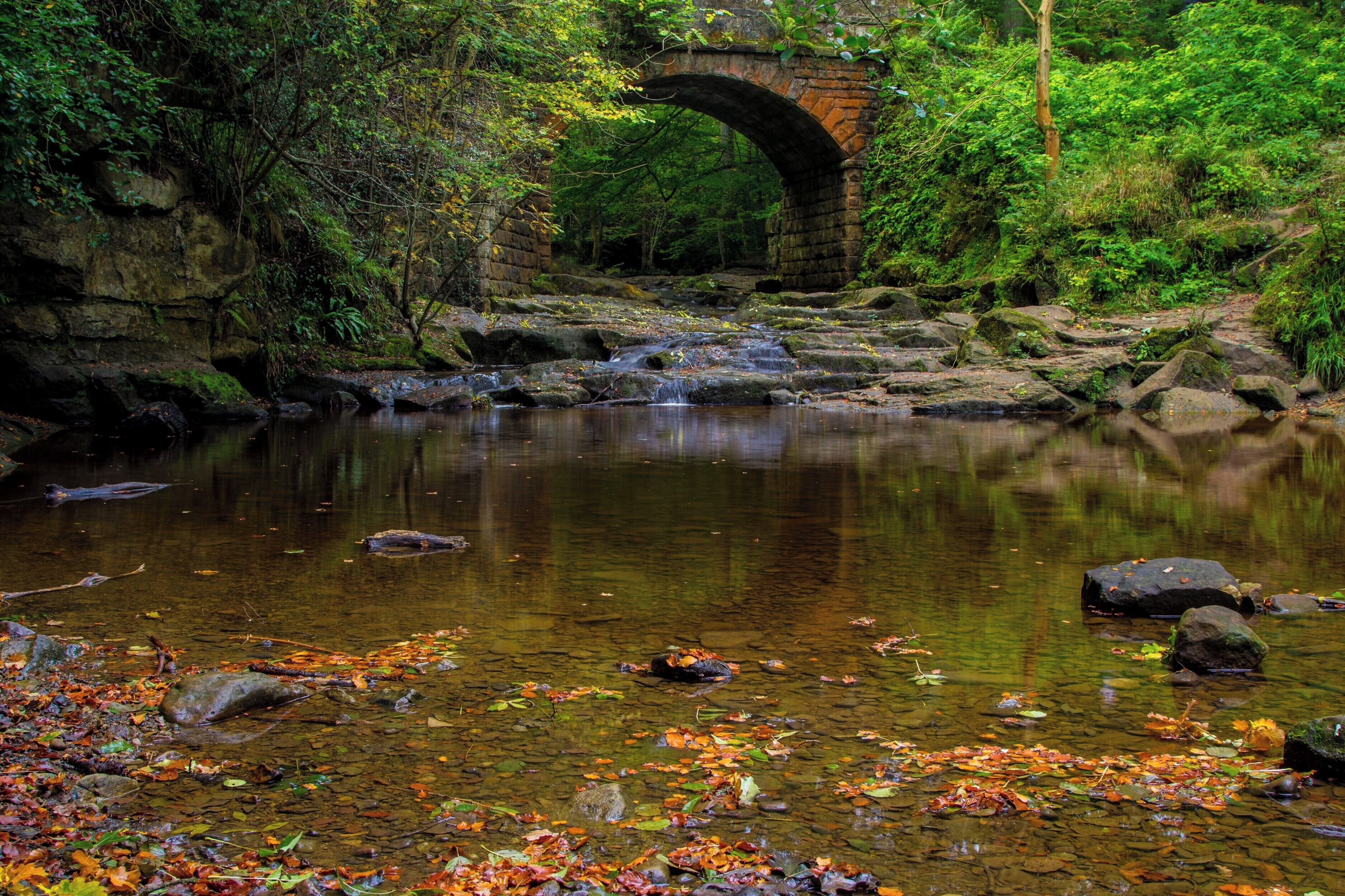 A stone bridge over a clear stream with autumn leaves in the foreground.