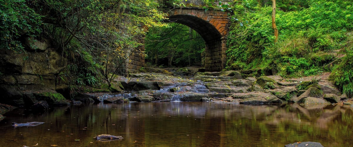 A stone bridge over a clear stream with autumn leaves in the foreground.