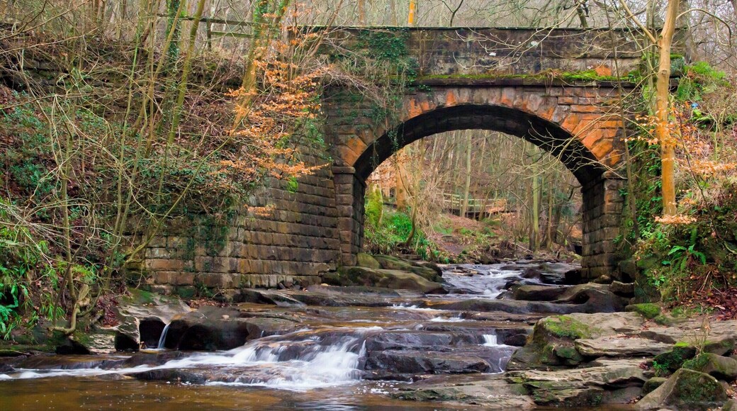 One large waterfall at Falling Foss this shot shows the small flow of water which just flows under the bridge heading towards the large falls..