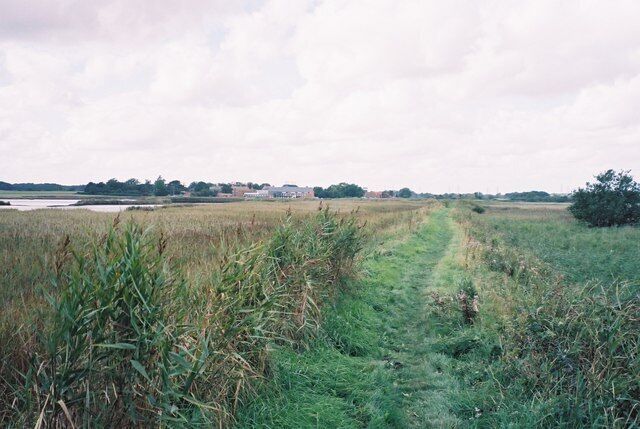 The Sailor's Path Crossing the marshy area on the north side of the river, towards Snape Maltings.