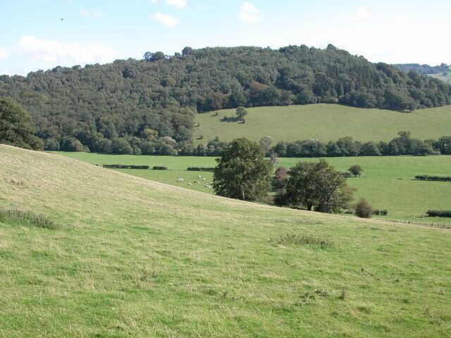 The Monnow valley. View across the Monnow valley to Daren Wood. The river follows the trees at the fars side of the meadows, here the river is the boundary between Wales and England. The wooded hill in the background is in England.