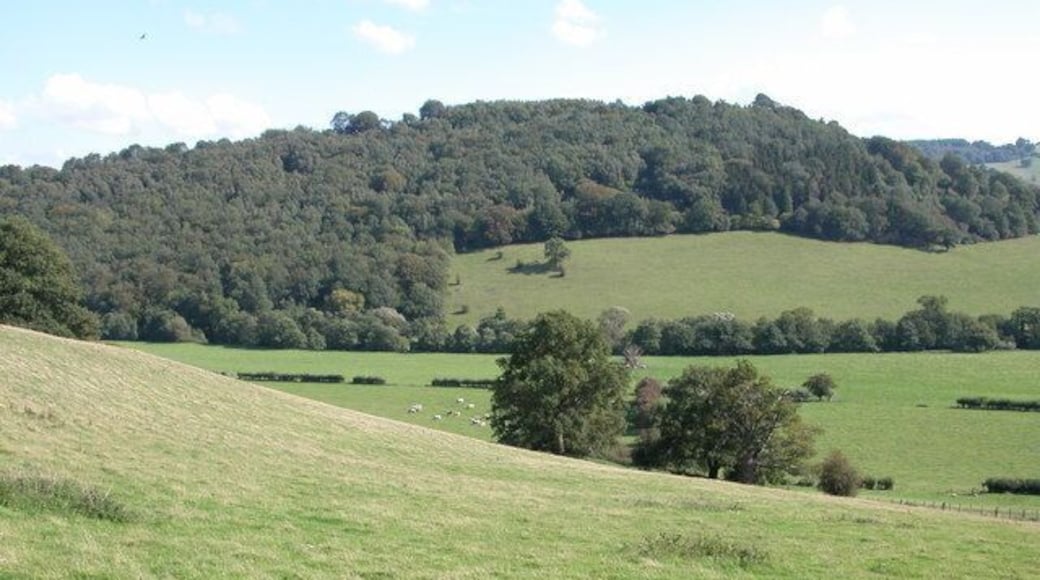 The Monnow valley. View across the Monnow valley to Daren Wood. The river follows the trees at the fars side of the meadows, here the river is the boundary between Wales and England. The wooded hill in the background is in England.