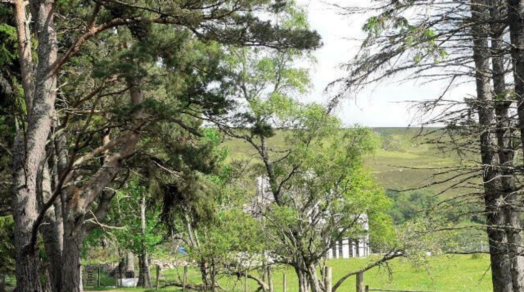 House entrance track