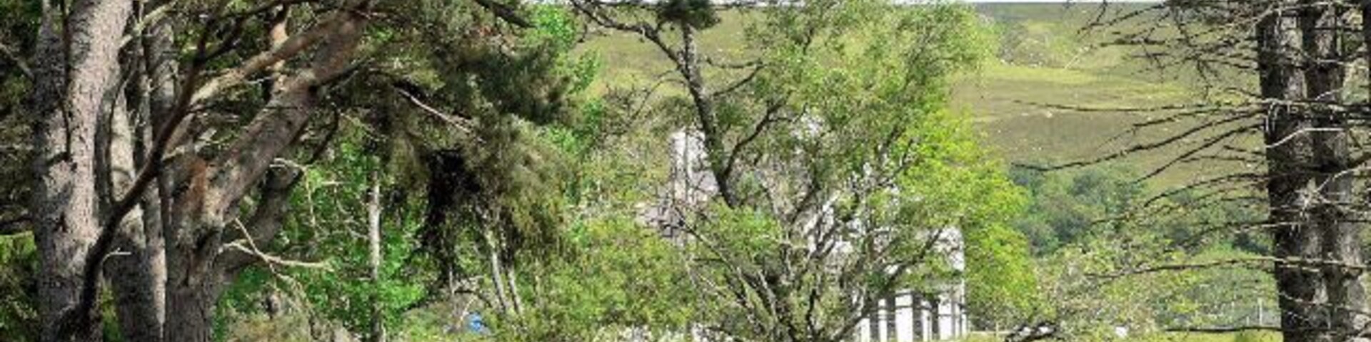 Paisagem rural com uma trilha de terra, árvores e uma área cercada.
