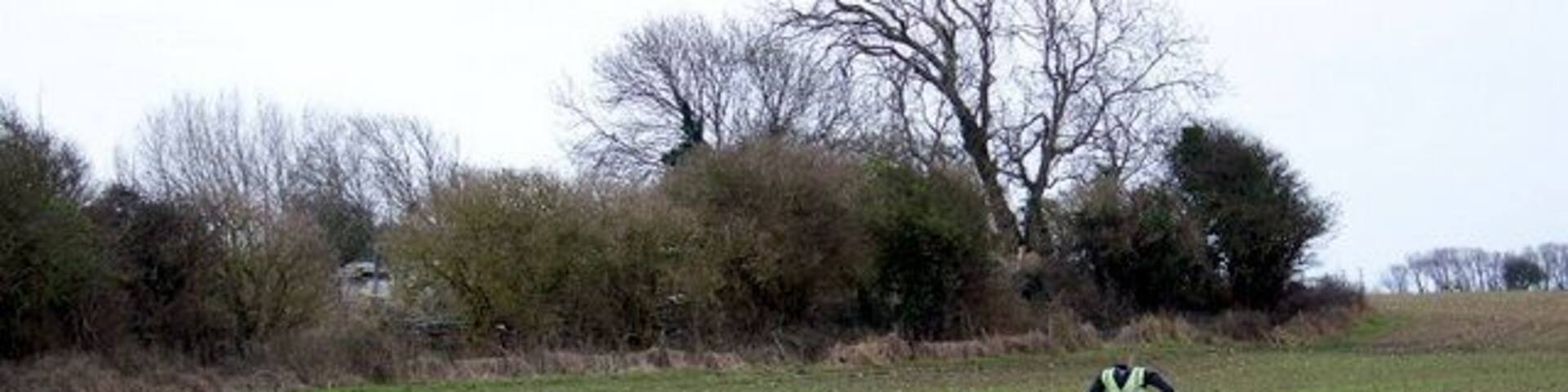 Headless in Highleigh This poor scarecrow standing guard over a cereal crop has unfortunately lost his head.