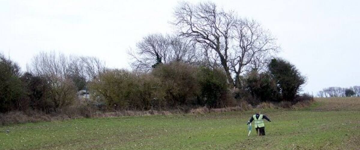A person in a field with trees and bushes in the background.