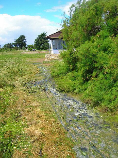 Mudland Road, Sidlesham Quay The name of the track that follows the harbour's edge around to Pagham Wall at times crossing mud flats and saltmarsh and generally living up to its name. Add to that the decomposing matter then you get some idea of the smell too.