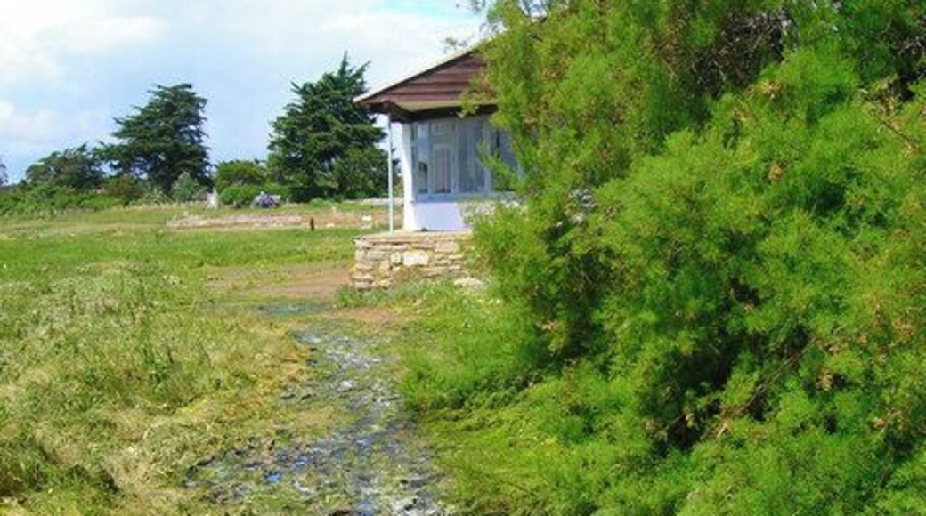 Mudland Road, Sidlesham Quay The name of the track that follows the harbour's edge around to Pagham Wall at times crossing mud flats and saltmarsh and generally living up to its name. Add to that the decomposing matter then you get some idea of the smell too.