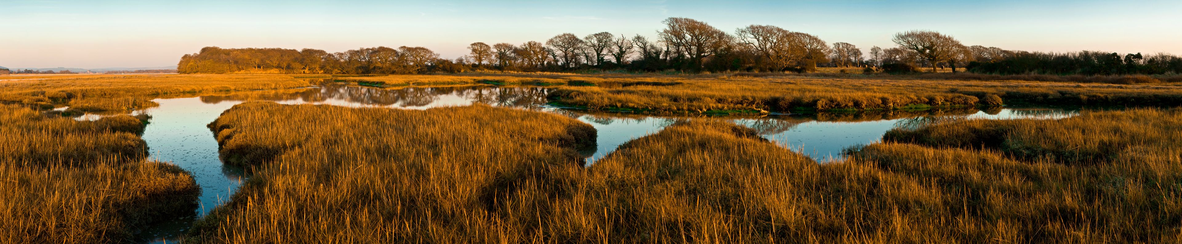 A marshland with water channels and tall grasses reflecting the sky.