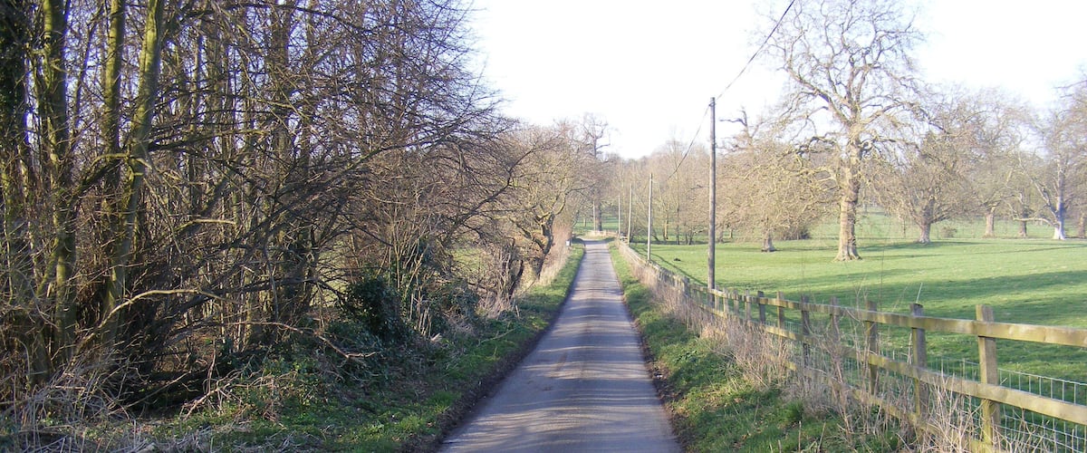A narrow paved path flanked by trees and a wooden fence, leading into a green field.