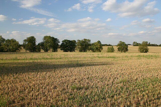 Fields near RAF Wethersfield Looking north from the bridleway between Flowers Hall and Barr Hall.