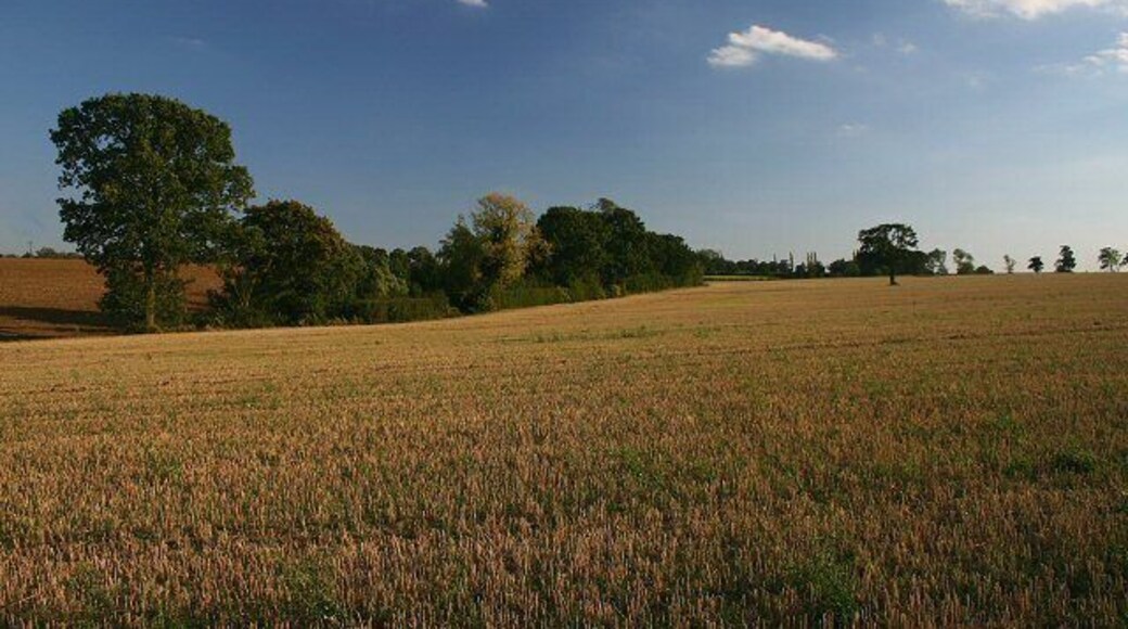 Fields near RAF Wethersfield Looking south from the bridleway between Barr Hall and Flowers Hall.
