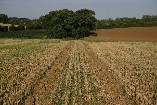 Bridleway to Barr Hall This bridleway runs north-eastwards from Flower's Hall, near RAF Wethersfield, to Barr Hall.