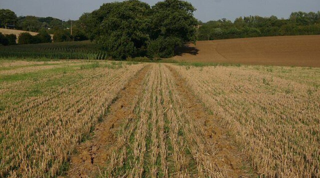 Bridleway to Barr Hall This bridleway runs north-eastwards from Flower's Hall, near RAF Wethersfield, to Barr Hall.