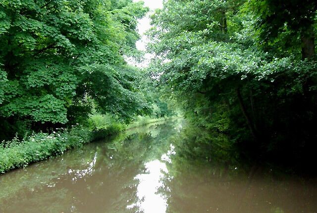 Trent and Mersey Canal near Shugborough, Staffordshire. Between Little and Great Haywood and heavily flanked by mature deciduous trees, the canal has the River Trent close by on the left, and the railway line close by to the right.