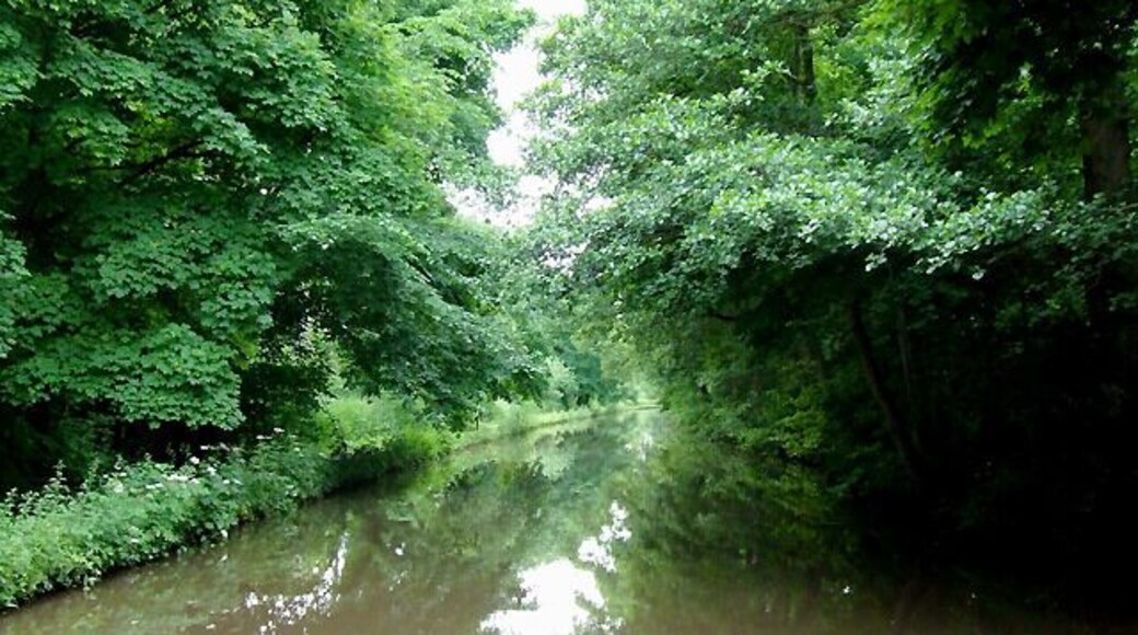 Trent and Mersey Canal near Shugborough, Staffordshire. Between Little and Great Haywood and heavily flanked by mature deciduous trees, the canal has the River Trent close by on the left, and the railway line close by to the right.