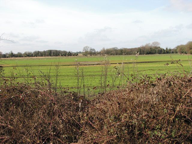 Cultivated fields west of Wash Lane