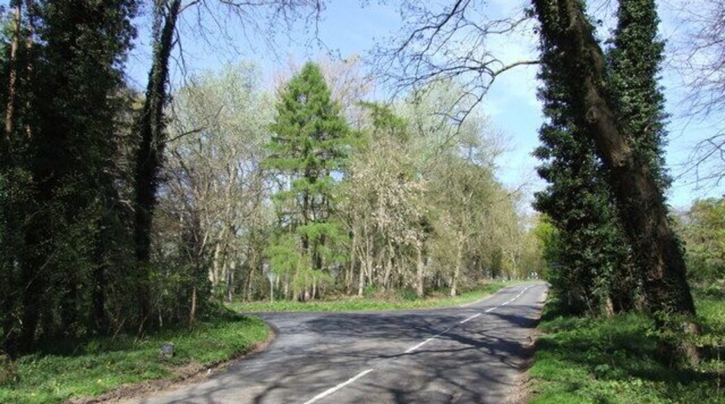 Turn off to Great Hockham on B1111