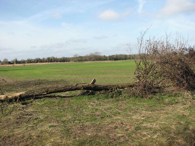 Blocked entrance into a field west of Wash Lane