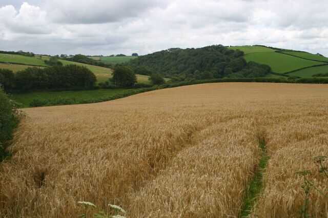 Fields looking towards Sloley Barton Fields looking towards Sloley Barton