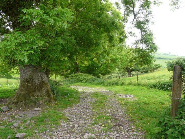 A farm track near Plaistow Barton