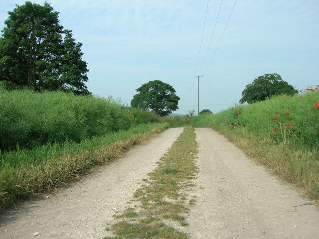 Bridleway near Sherburn