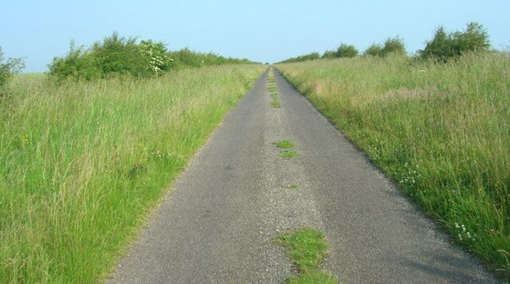 Minor Road Towards Sherburn