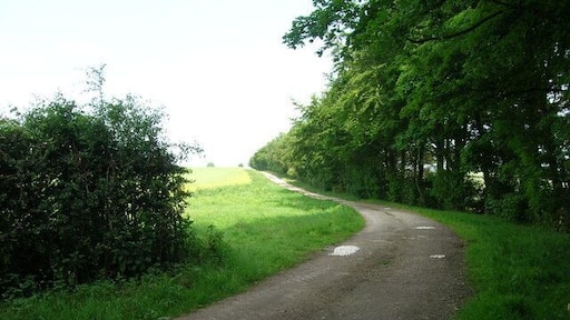 Track to Allison Wold Farm