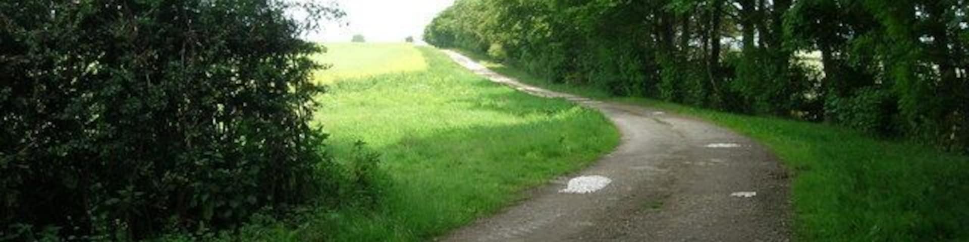 Track to Allison Wold Farm