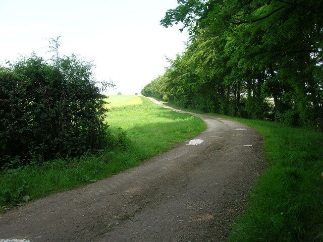 A narrow, winding rural road surrounded by lush green fields and dense trees.