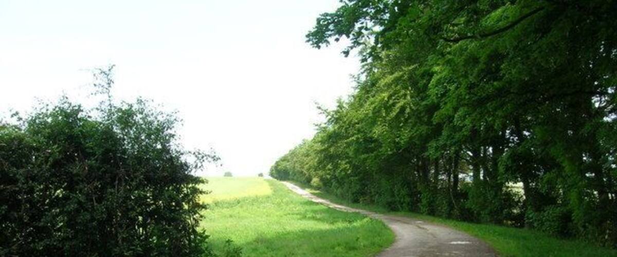 A narrow, winding rural road surrounded by lush green fields and dense trees.