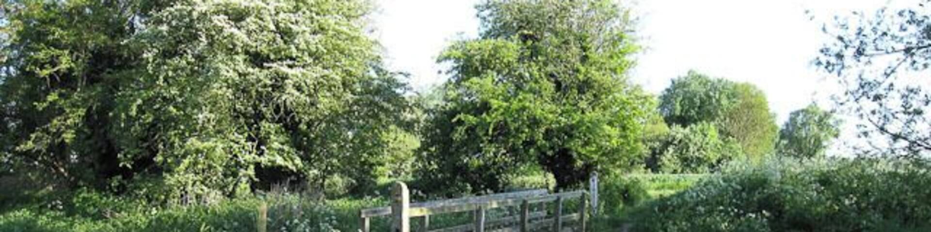 Footbridge south of Barrington The footpath to Shepreth crossing a ditch running parallel to the River Cam.