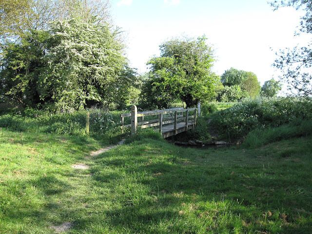 A wooden footbridge over a stream in a grassy area with trees.
