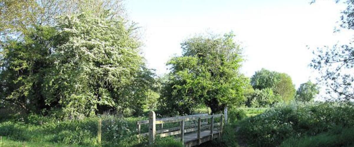 A wooden footbridge over a stream in a grassy area with trees.