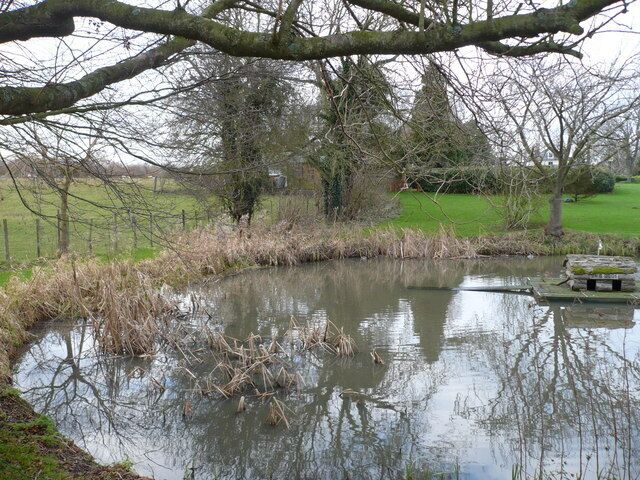 The village pond, Coldred