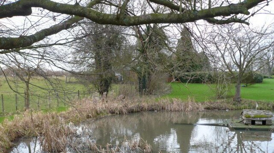 The village pond, Coldred