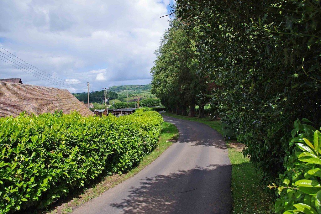 Lane at Shelsley Walsh