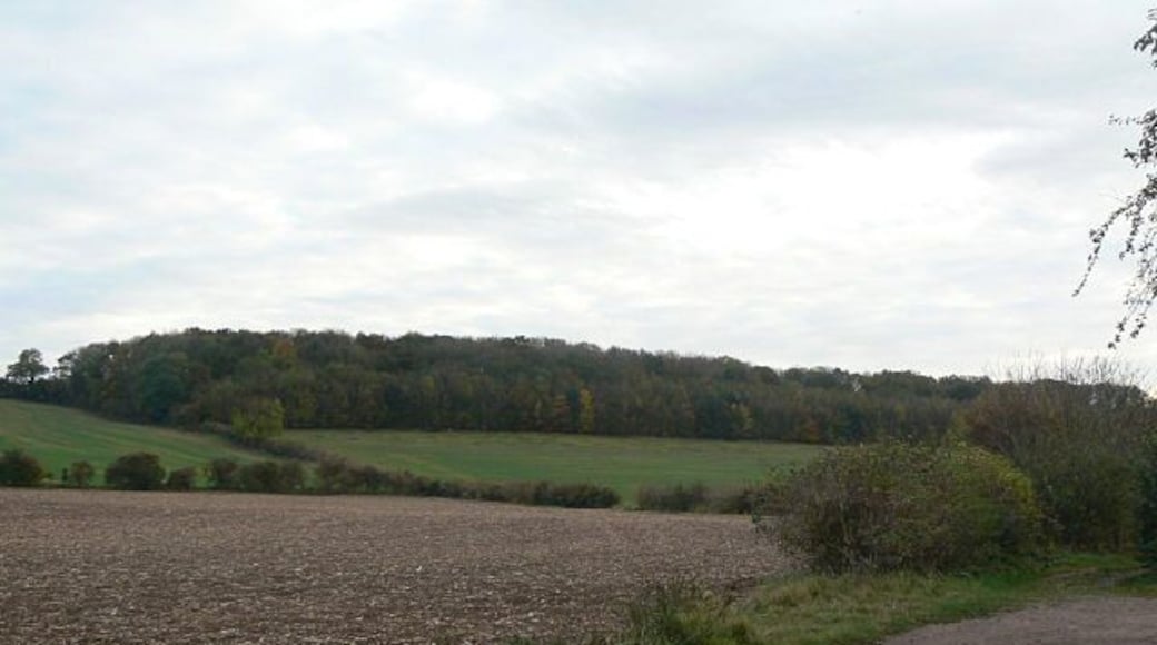It's No Joke The woodland on the hillside is called No Joke Plantation; I'd love to know what the derivation of the name is.