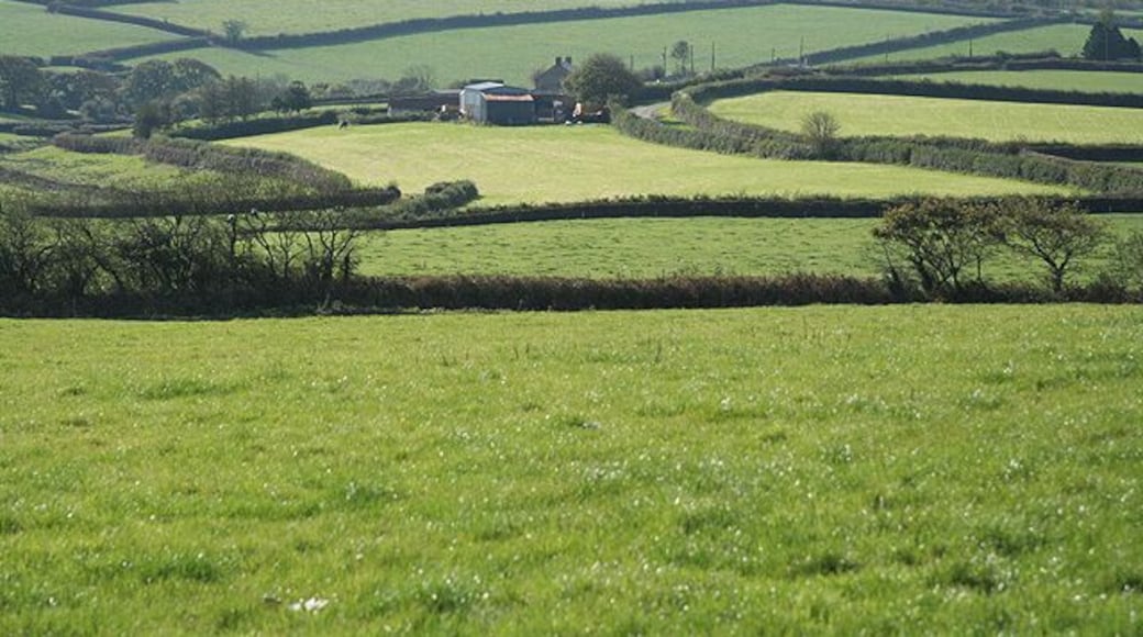 Shebbear: towards Little Ladford Typical west Devon farmland landscape